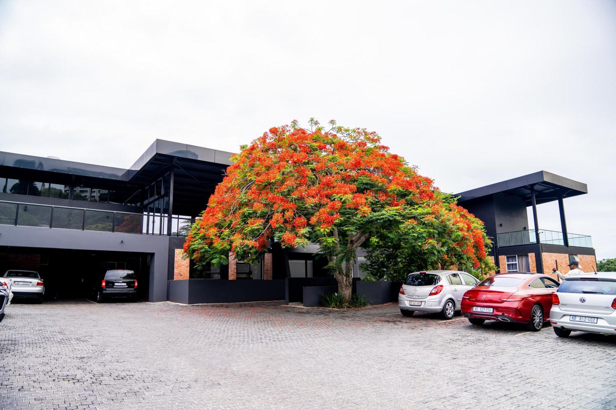 Zar Hotel Amanzimtoti Eksteriør bilde